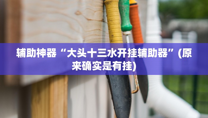 辅助神器“大头十三水开挂辅助器”(原来确实是有挂)