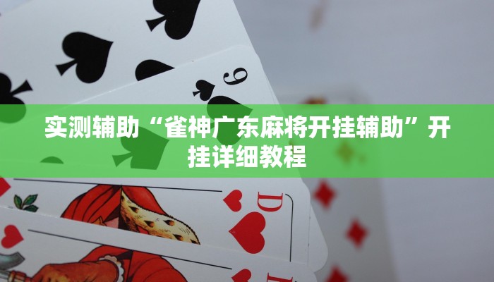辅助神器“德州WepoKer开挂透视教程”开挂详细教程