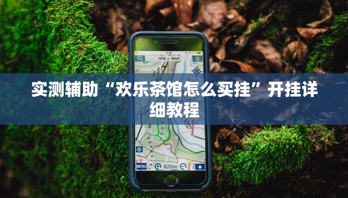 实测辅助“欢乐茶馆怎么买挂”开挂详细教程