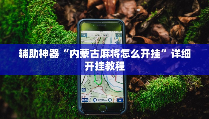 实测辅助”pokernow透视挂方法”开挂详细教程