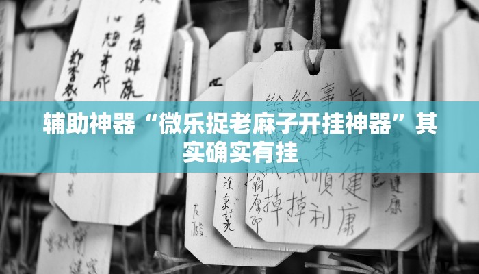 辅助神器“微乐捉老麻子开挂神器”其实确实有挂